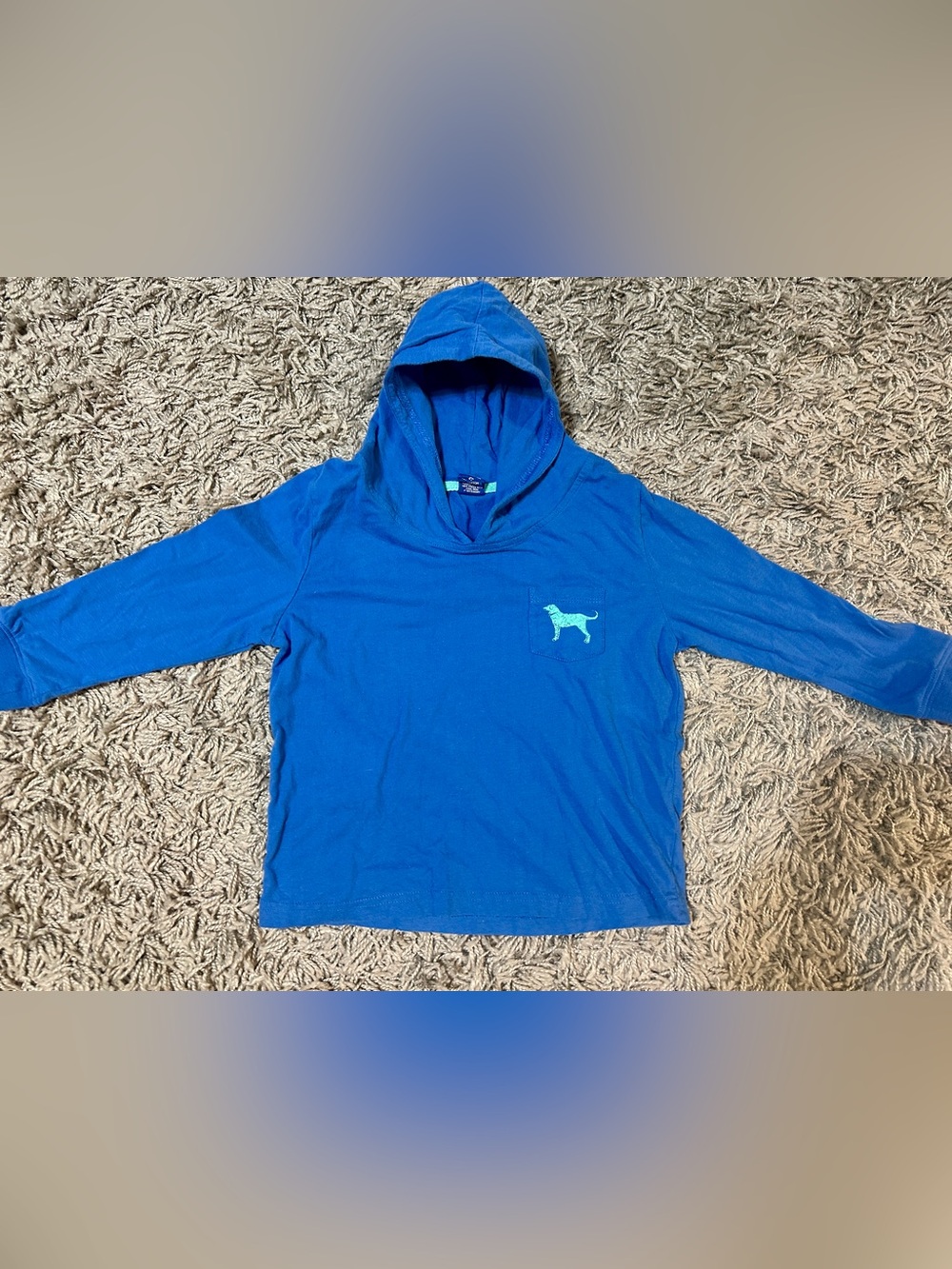 The Black Dog Blue Hooded Tee with Mint Accent